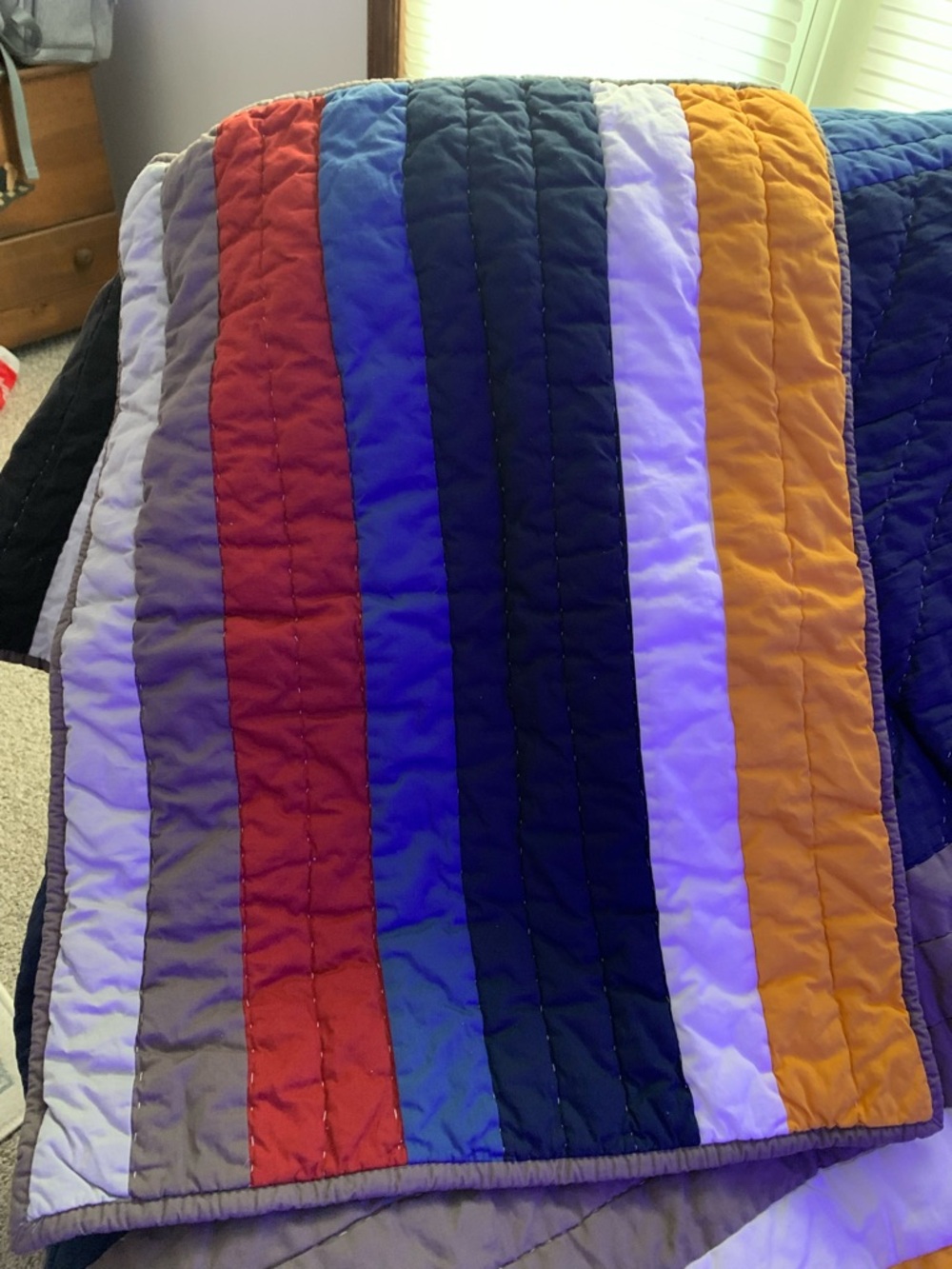 Pottery Barn Teen Multi Colored Quilted Cotton comforter with 2 pillow cases